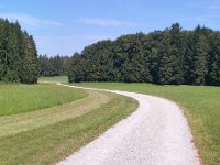 [Group 2]-20180818 141848 20180818 141851-2 images